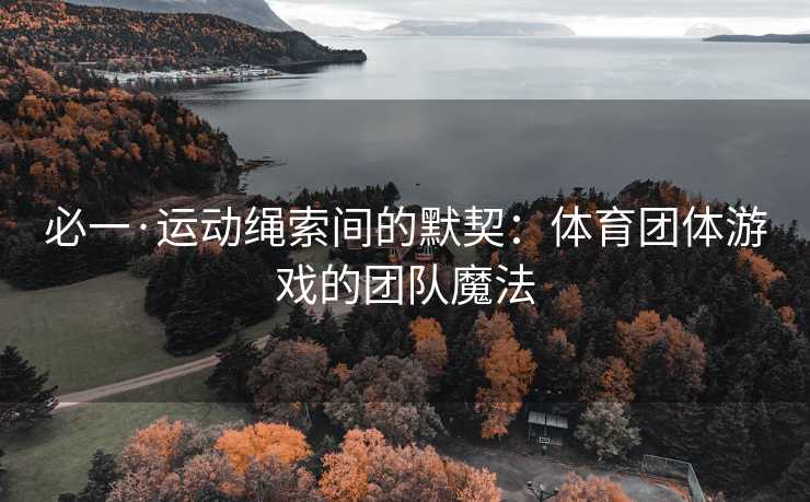 必一·运动绳索间的默契：体育团体游戏的团队魔法